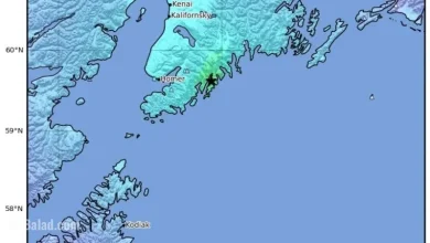 5.4 Magnitude Earthquake Strikes 43 Miles Southwest of Seward