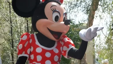 7 Disneyland Rides Set To Close Amid Busy Holiday Season