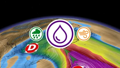 75 mm de pluie, vents à 60 km/h: l'Halloween s'annonce compliquée pour certains