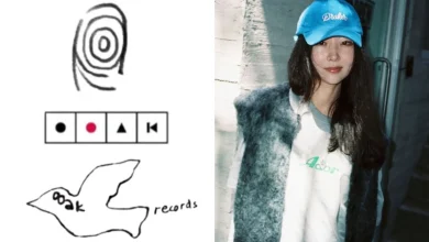 “A thumbprint is hardly original”: Netizens divided as Min Hee-jin is accused of plagiarizing her company, OOAK Records' alleged logo
