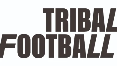 AC Milan turn to Parma keeper Suzuki over Maignan concerns