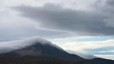 AEMET warns of winds over 90 km/h in Tenerife