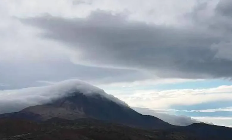 AEMET warns of winds over 90 km/h in Tenerife