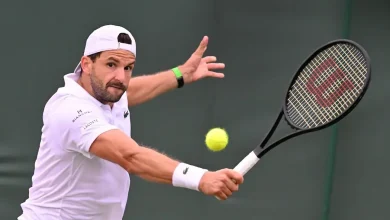 ATP - Rolex Paris Masters > Dimitrov signe un sacré come-back : "Je suis tellement reconnaissant"