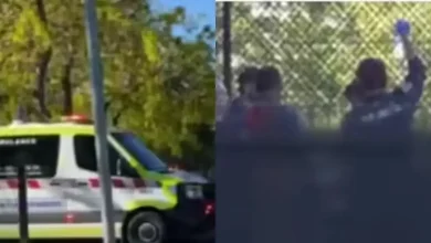 Australia Batter Suffers Near-Fatal Injury, Fighting for Life After Freak Ball Impact