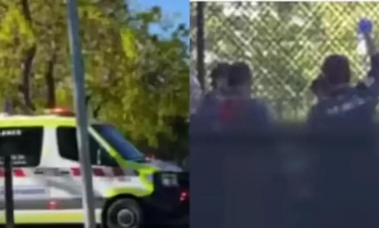 Australia Batter Suffers Near-Fatal Injury, Fighting for Life After Freak Ball Impact