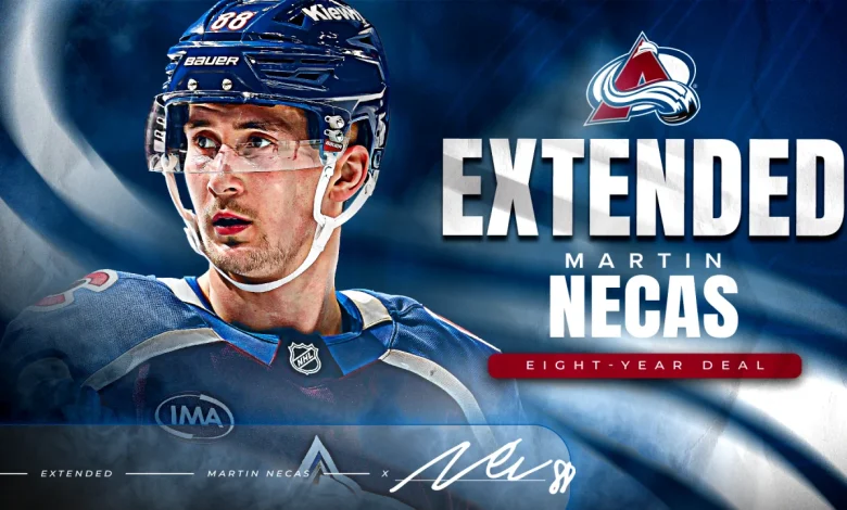 Avalanche Signs Necas