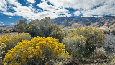 Battle Born and still boomin’: Nevada to turn 161 with gold, ghosts, and a dash of UFOs