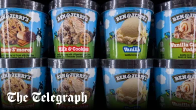 Ben & Jerry’s blocked from creating ‘pro-Gaza’ ice cream