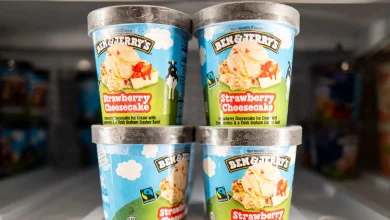 Ben & Jerry's co-founder creating watermelon-flavoured ice cream to support Palestine