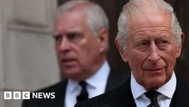 Buckingham Palace statement on Prince Andrew in full