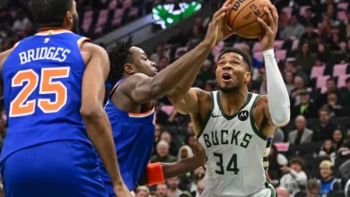 Bucks' Giannis Antetokounmpo took 6 steps and didn't get called for a travel