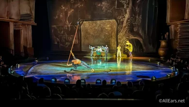 CELEBRITY SIGHTING: See Which Star Watched Cirque du Soleil’s Drawn to Life Show in Disney World!