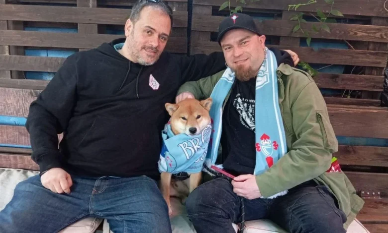 Celestes del occidente