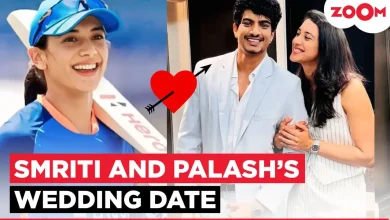 Cricketer Smriti Mandhana To Marry Music Composer Palash Muchhal In Sangli This November: Reports