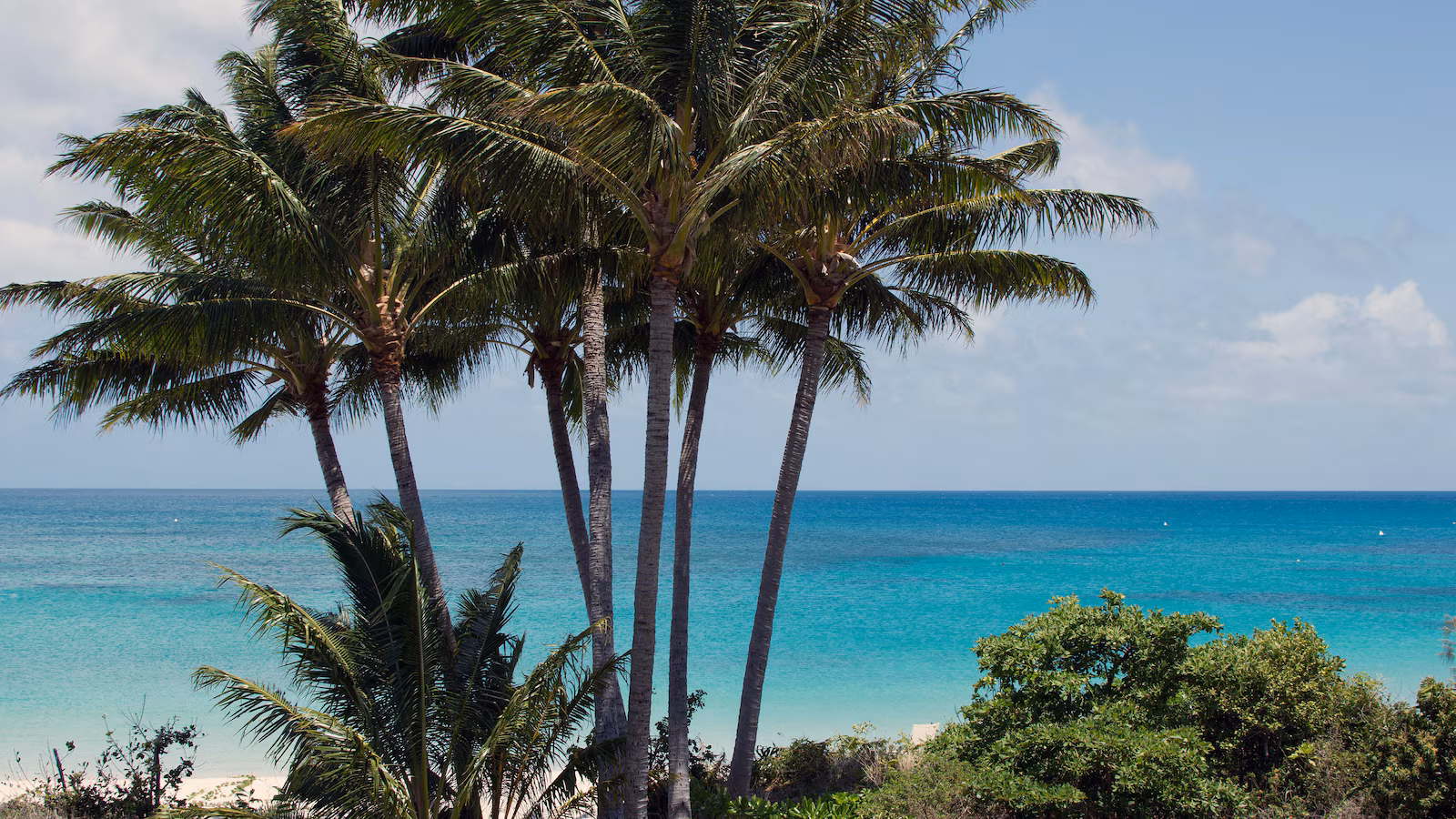 Cruise passenger, 80, found dead after being abandoned on Great Barrier Reef island