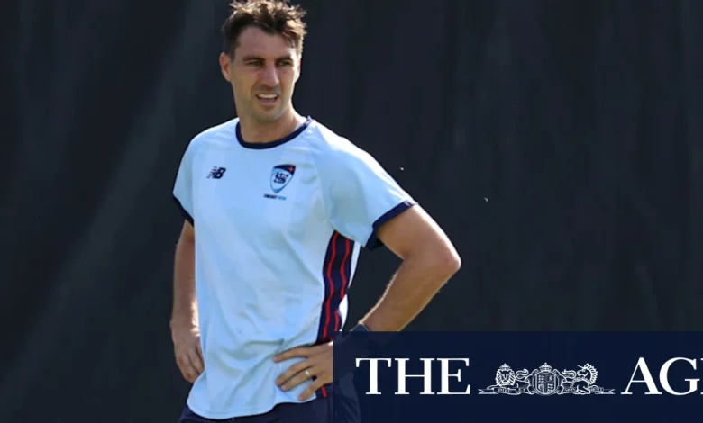 Cummins back bowling as Ashes comeback gathers pace