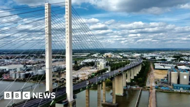 Dartford Crossing M25 bridge closes due to pedestrian