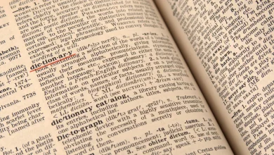 Dictionary.com picks "67," a "nonsensical and playfully absurd" slang term, as the 2025 word of the year