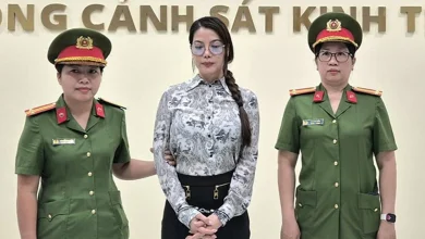 Diễn viên Trương Ngọc Ánh bị bắt