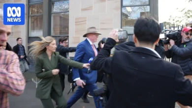 Disgraced former NSW MP sentenced for sexually abusing two young men