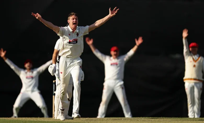 Doggett, Bancroft share limelight after Green's duck