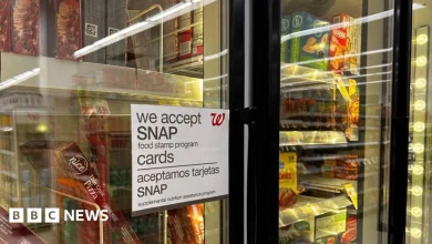 Dozens of US states sue Trump over halting Snap food stamp