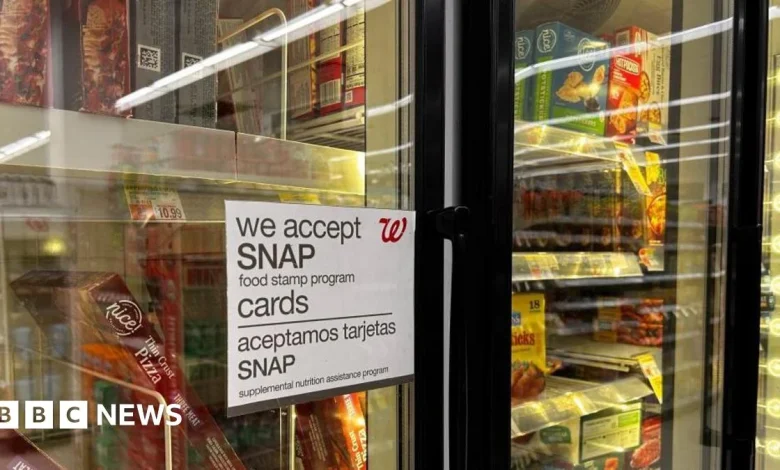 Dozens of US states sue Trump over halting Snap food stamp
