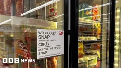 Dozens of US states sue Trump over halting Snap food stamp
