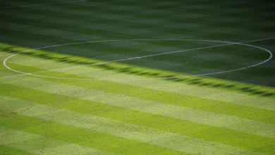 EFL Carabao Cup Highlights