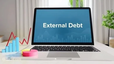 Egypt’s External Debt Hits $161.2 Billion by June 2025: CBE Report