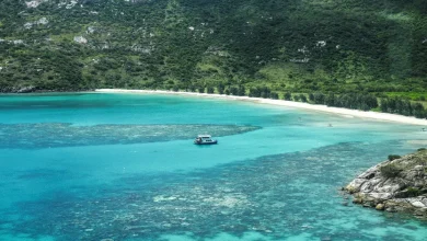 Elderly cruise passenger found dead after being abandoned on tropical island