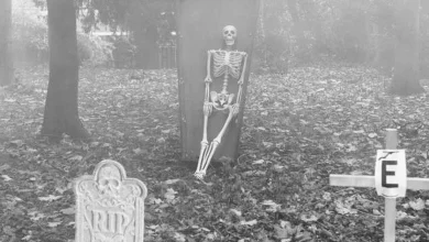 Emergency services warn public to take extra precautions over Halloween