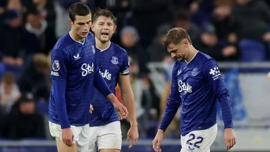 Everton fans waited 28 years for Hill Dickinson Stadium - first defeat won't hurt