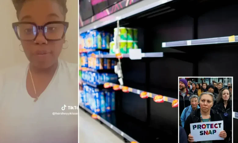 Exclusive | Walmart, NYC-area grocery stores threatened with mass looting after SNAP benefits expire: sources