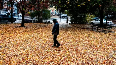 Expect gusty winds on Halloween in Philly, lasting into the evening