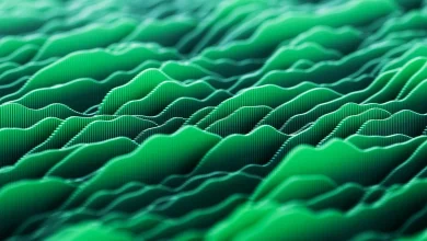 Fiserv: Q3 Preview, Strong Fundamentals And Weak Sentiment