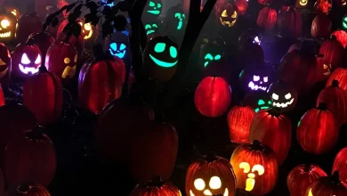 Frightful, Fearful Forecast For Ghost And Goblins Trick-Or-Treating Around New Hampshire, Boo...