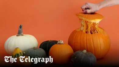 From air-fryer crisps to autumnal scones – nine ways to make the most of a pumpkin