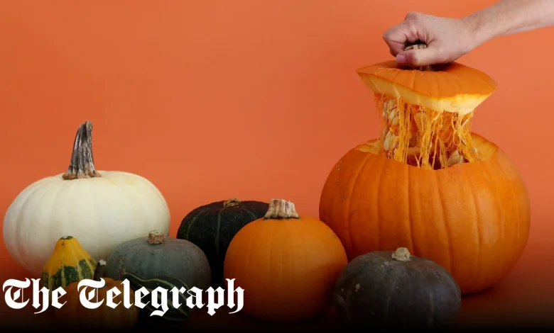 From air-fryer crisps to autumnal scones – nine ways to make the most of a pumpkin