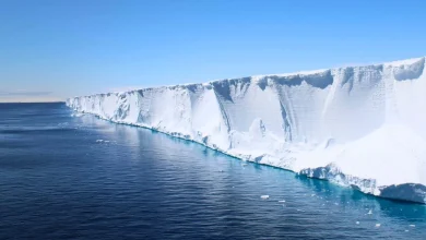 Gigantic iceberg breaks free in Antarctica, revealing ghostly mega-nest beneath