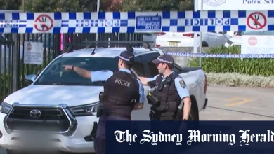 Girl, 5, dies after being hit by ute outside Sydney school