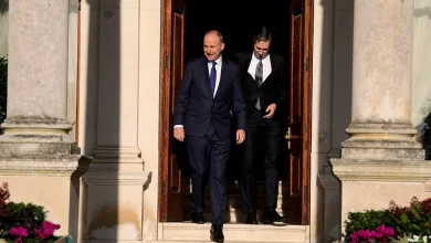 Government looking at ‘every aspect’ of migration policy – Taoiseach