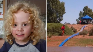 Gus Lamont: Dam drained in vain as search for missing outback boy continues