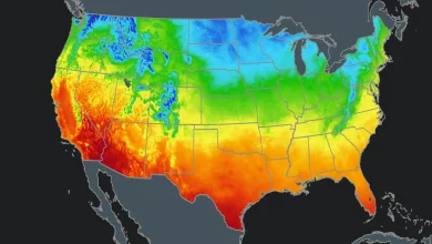 Halloween Forecast: Will Your Forecast Be A Trick? Or A Treat?