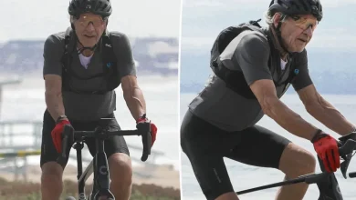Harrison Ford, 83, breaks a sweat riding bike along LA’s coastline