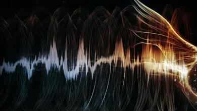 Harry Potter | Every single voice you hear in Harry Potter: The Full-Cast Audio Editions