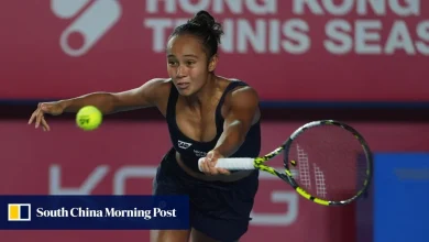 Hong Kong Tennis Open: ex-champion Fernandez makes short work of Lys