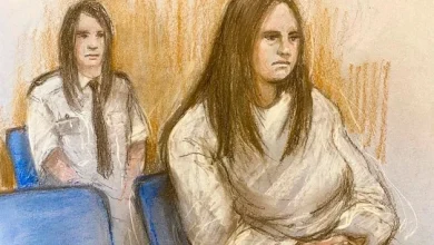 I would have stopped if the McCanns had told me to, says alleged stalker