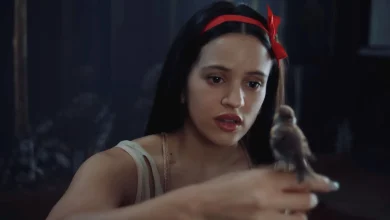 In Rosalía’s Surreal ‘Berghain’ Music Video, Björk is a Wise Bird